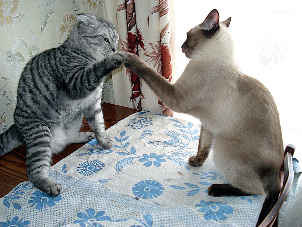 Photograph by Boris Karpushenkov