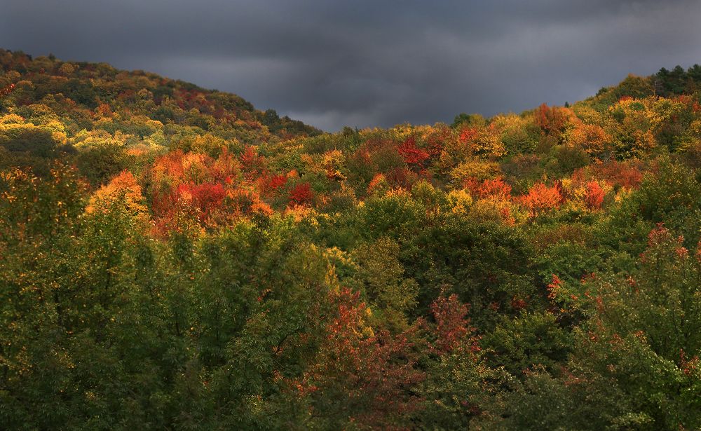 Photograph by Виктор Смирнов