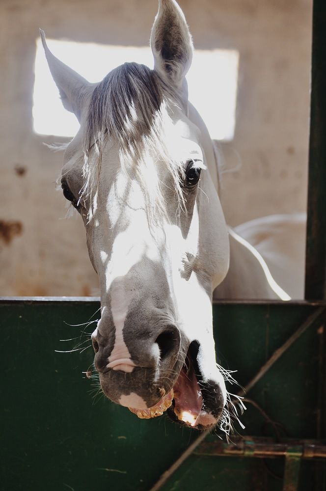 Photograph by Наталья Новкис