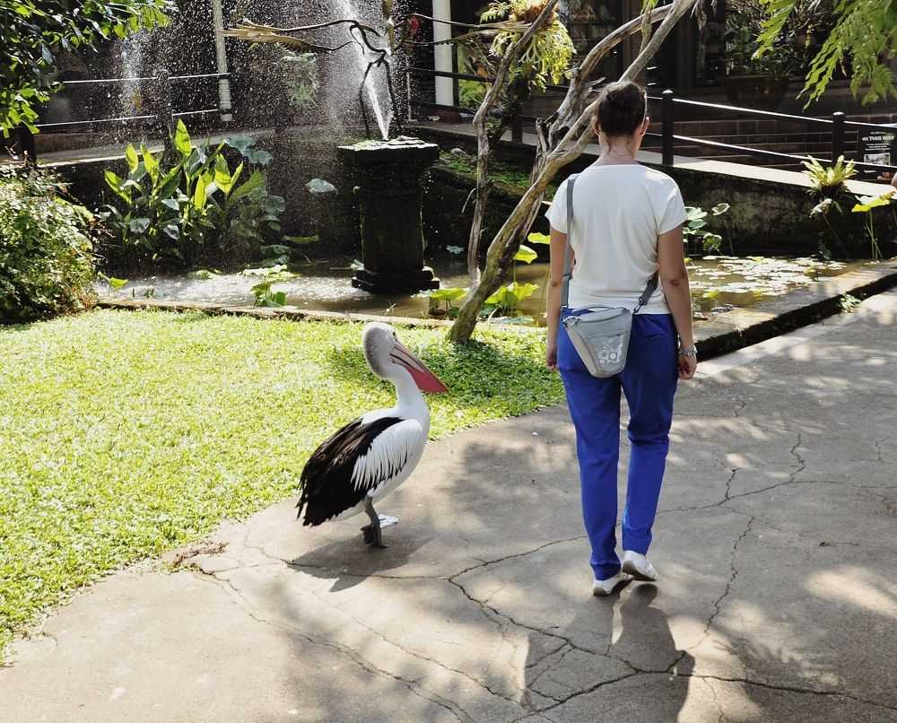 Photograph by Наталья Новкис