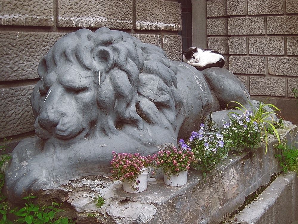 Photograph by Светлана