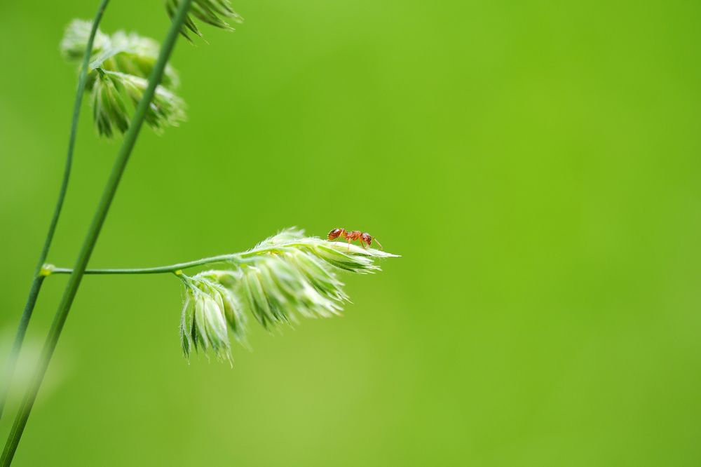 Photograph by Владимир