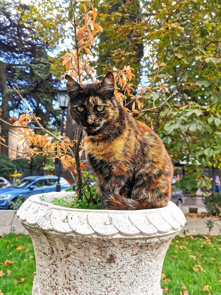 Photograph by Наточин Анатолий