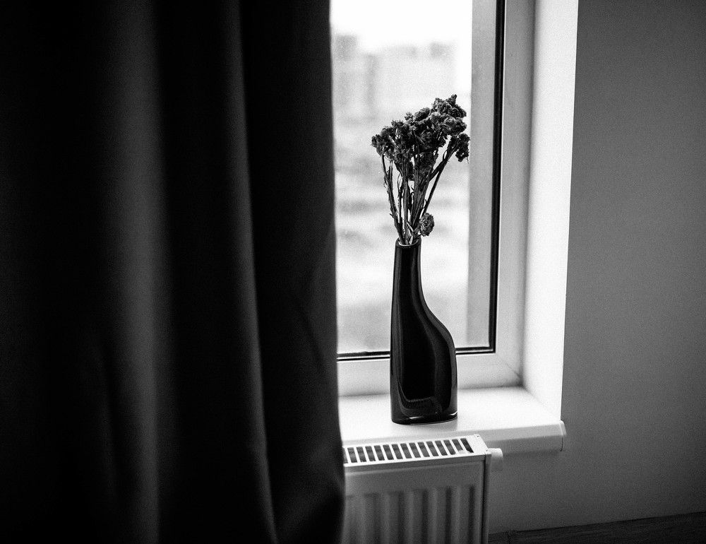 Photograph by Ольга Золотухина