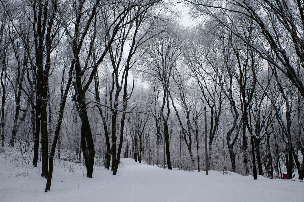 Photograph by Алла Никушкина