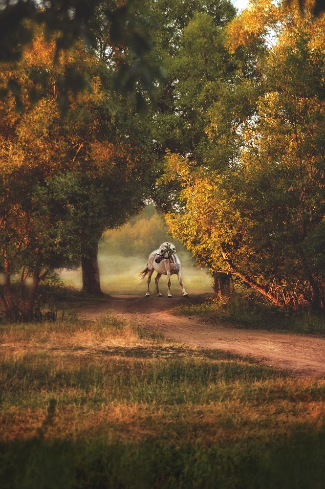 Photograph by Сивенок Елена