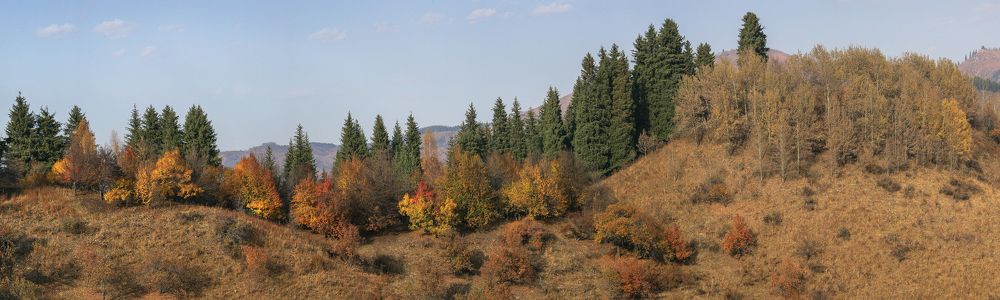 Фотография автора Владимир Пронин