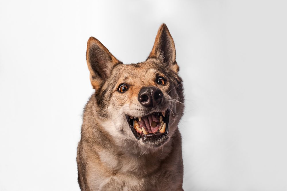 Фотография автора Ana Sánchez