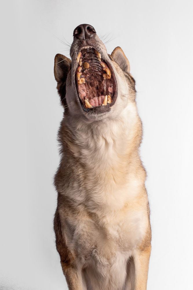 Фотография автора Ana Sánchez