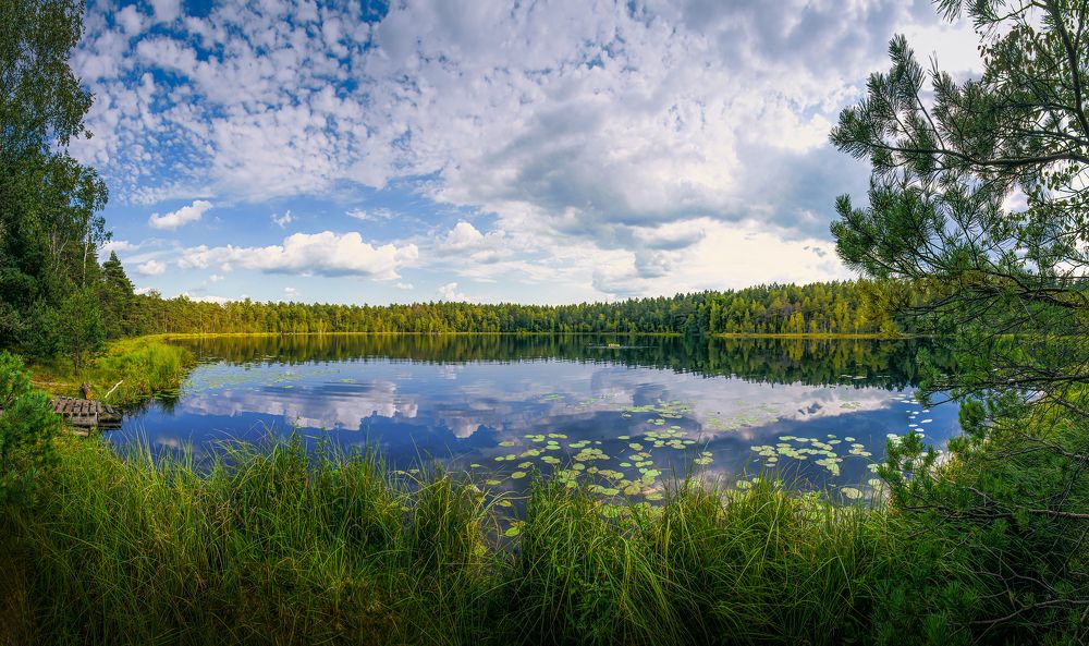 Полдень на озере