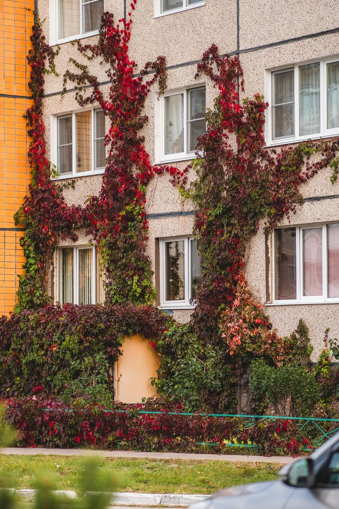 Photograph by Юрий Жарков