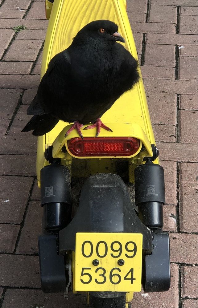 Photograph by Мария Бессмертная