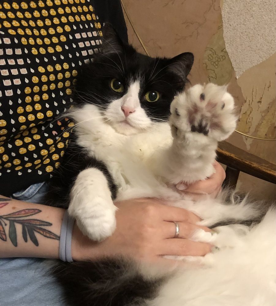 Photograph by Мария Бессмертная