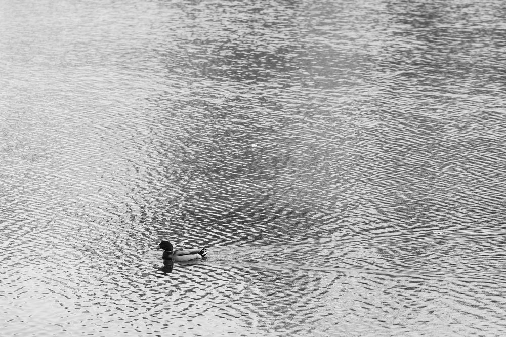 Photograph by Кристина Присакарь