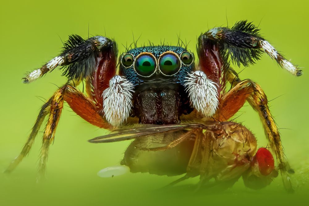 Photograph by Tran The Ngoc