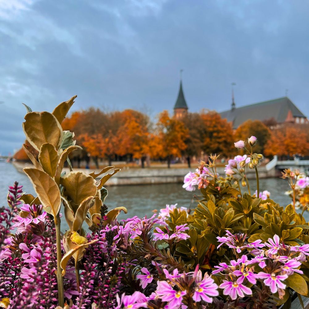 Photograph by Александра Пошехова