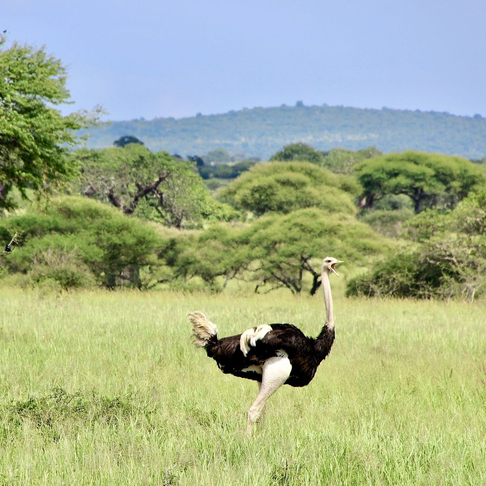 Photograph by Олег Банковский