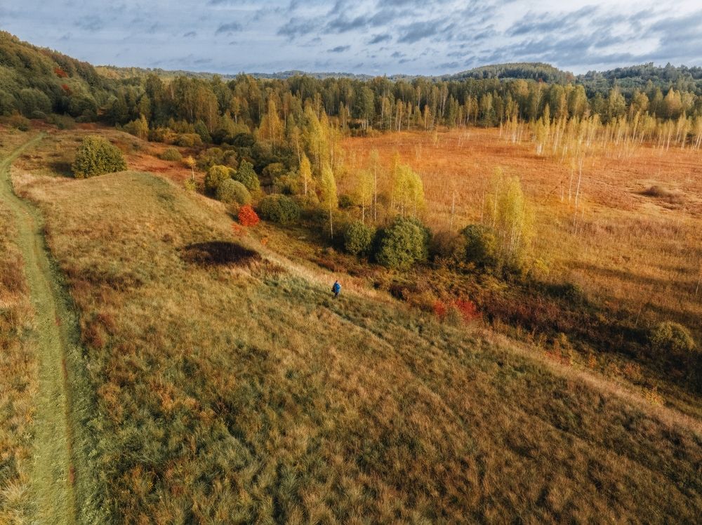 Photograph by Игорь Котиков