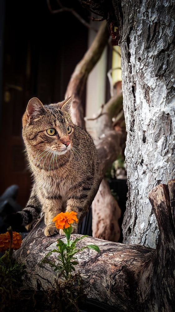 Photograph by Lenar Valeev