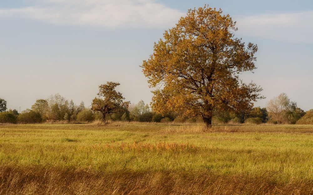 Photograph by Сергей Дишук