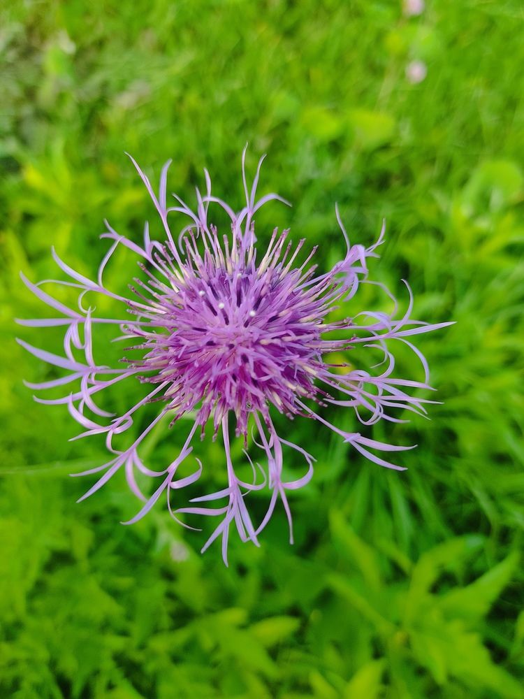 Photograph by Наталья Билай