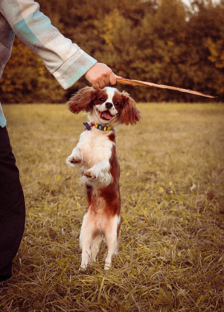 Photograph by Анна Корнейко