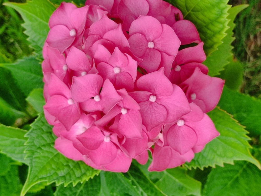 Photograph by Наталья Билай