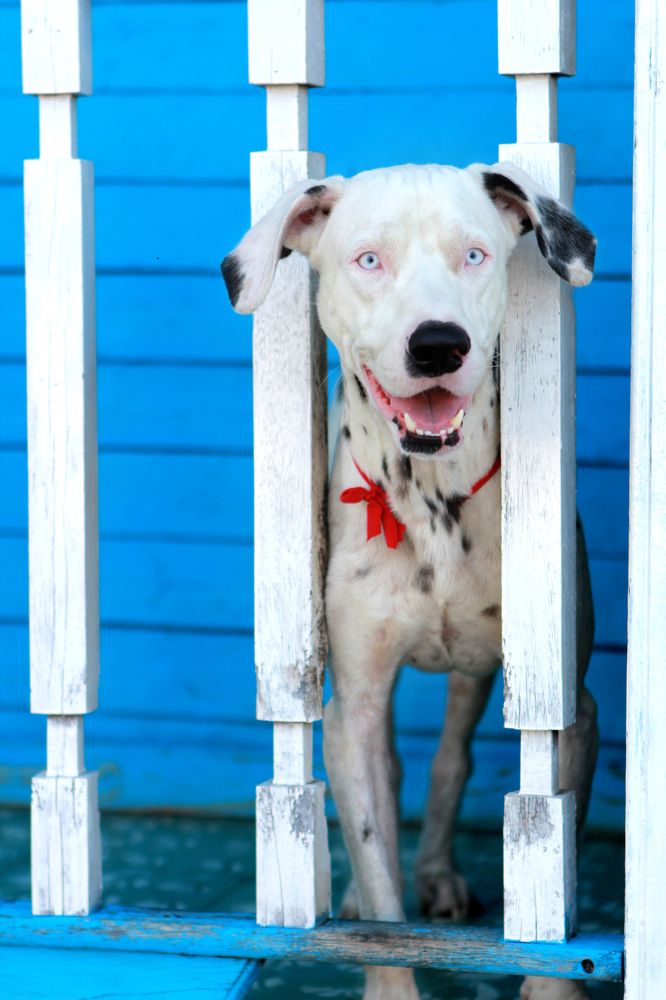 Photograph by Олег Ажгихин