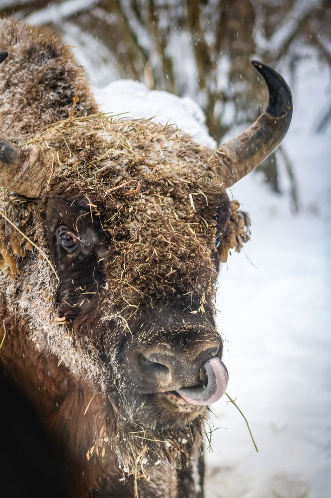 Photograph by Светлана Солдатченкова