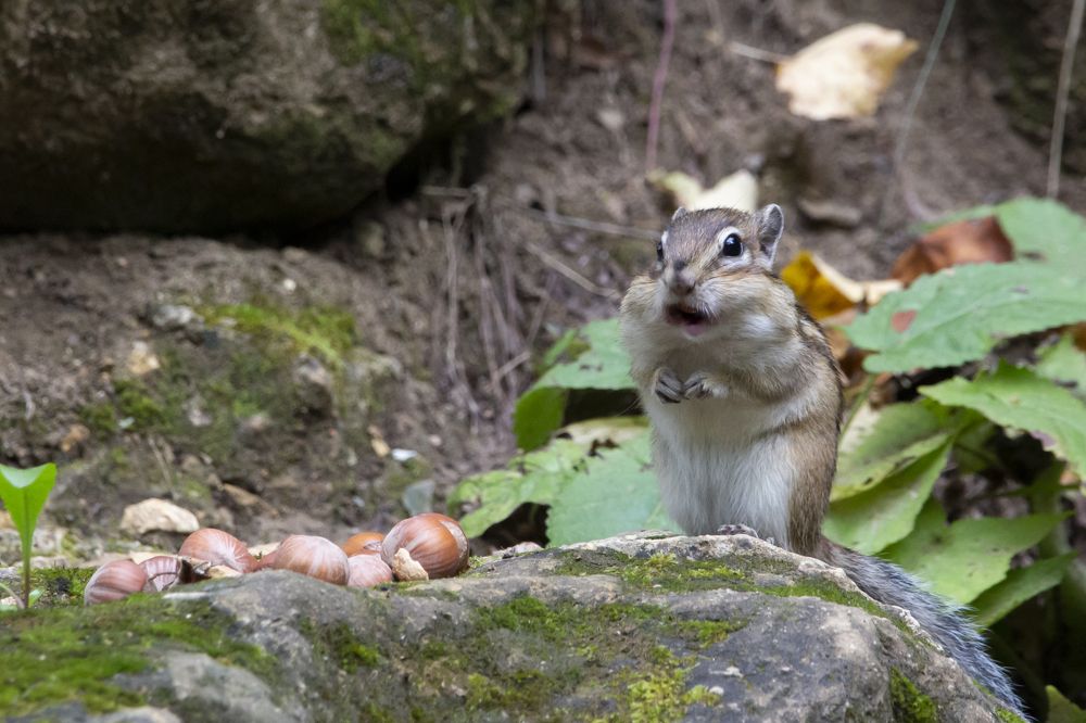 Photograph by Иван Волков