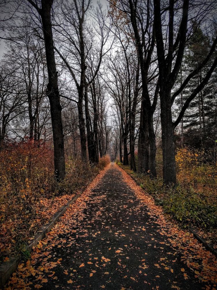 Photograph by Константин Косяков