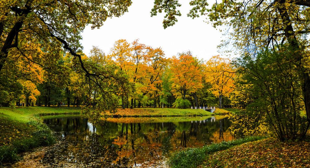 Photograph by Михаил Бояркин