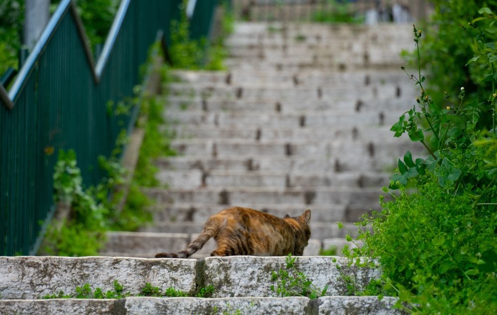 Photograph by Aleksandr Kolonsky