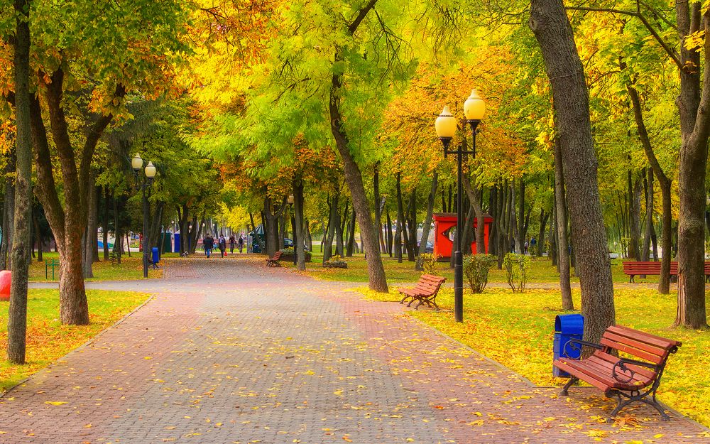 Photograph by Сергей Дишук