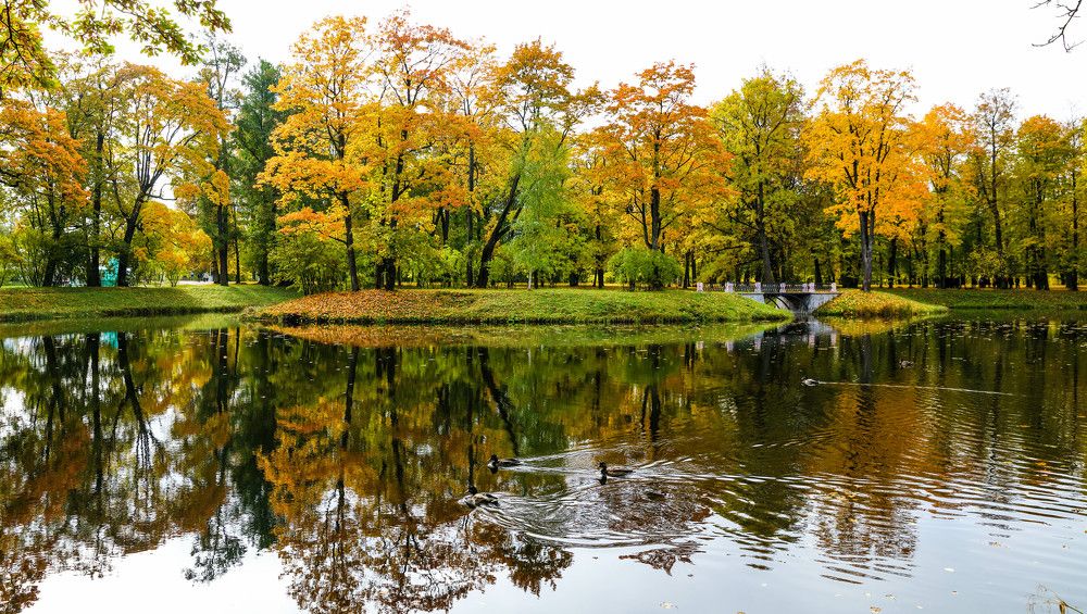 Photograph by Михаил Бояркин