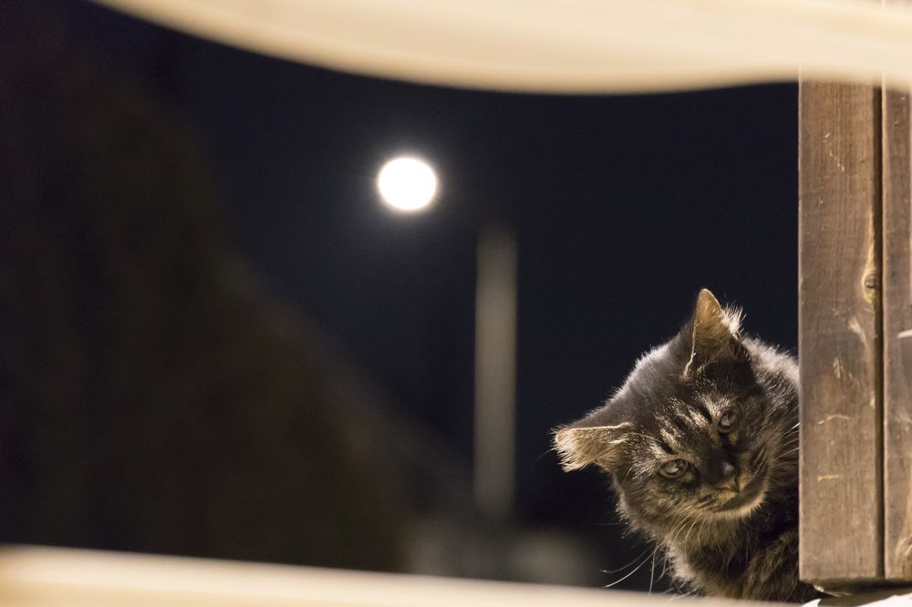 Photograph by Sergey Fomenko