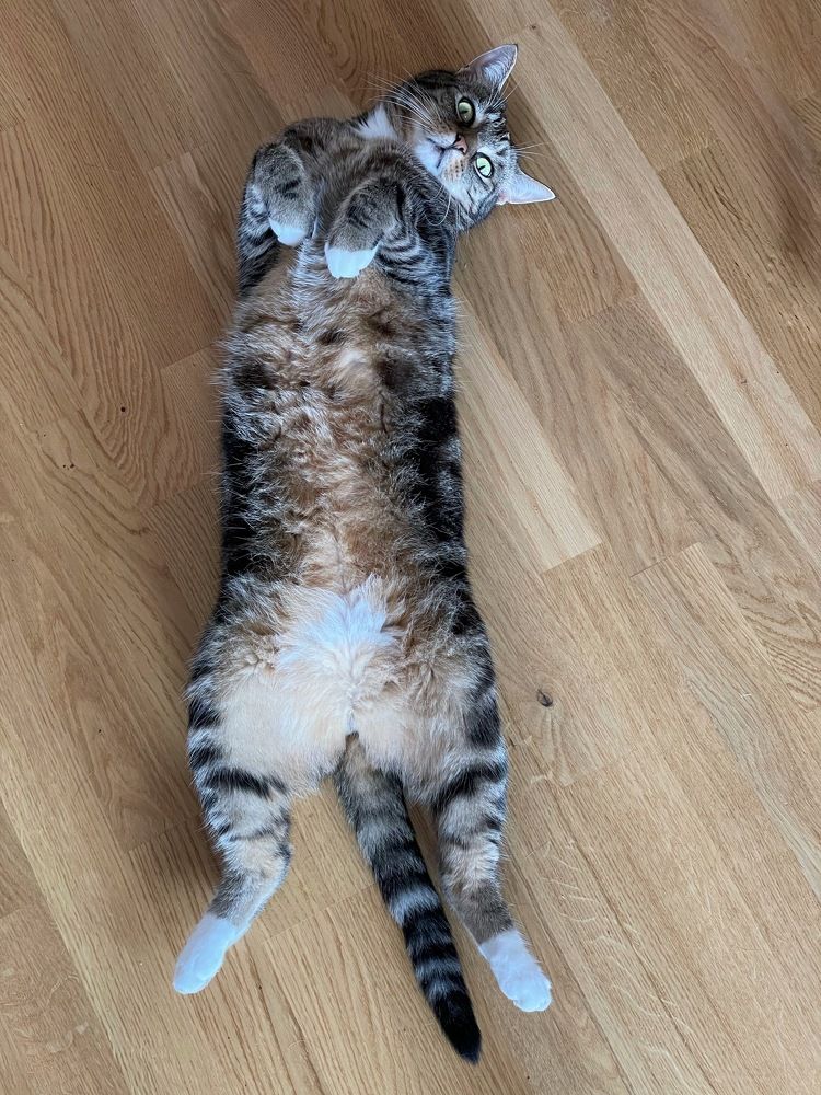 Фотография автора Nadezhda