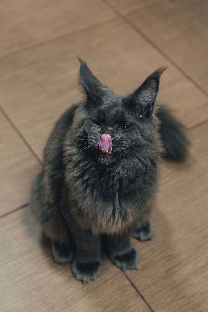 Photograph by Остапенко Алина