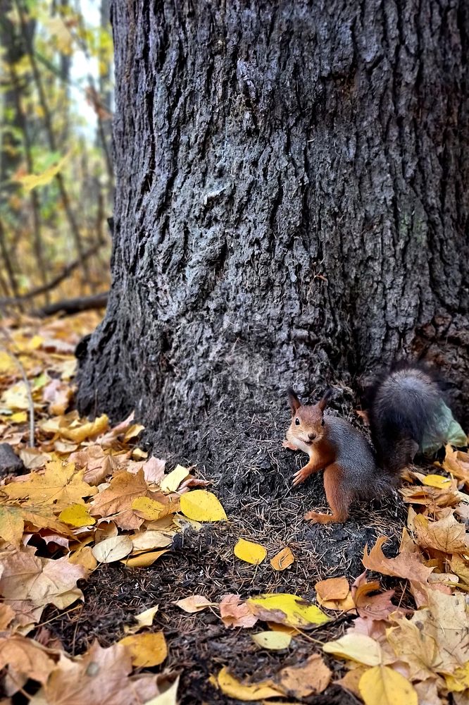 Photograph by Олег Ажгихин