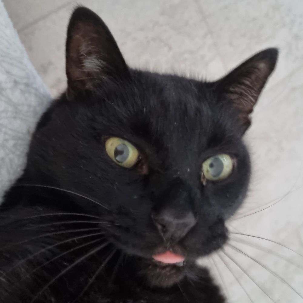 Photograph by Ольга