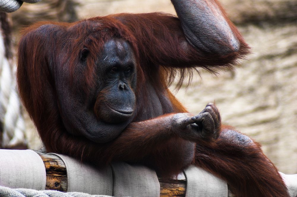 Photograph by Tatiana Teit Ash