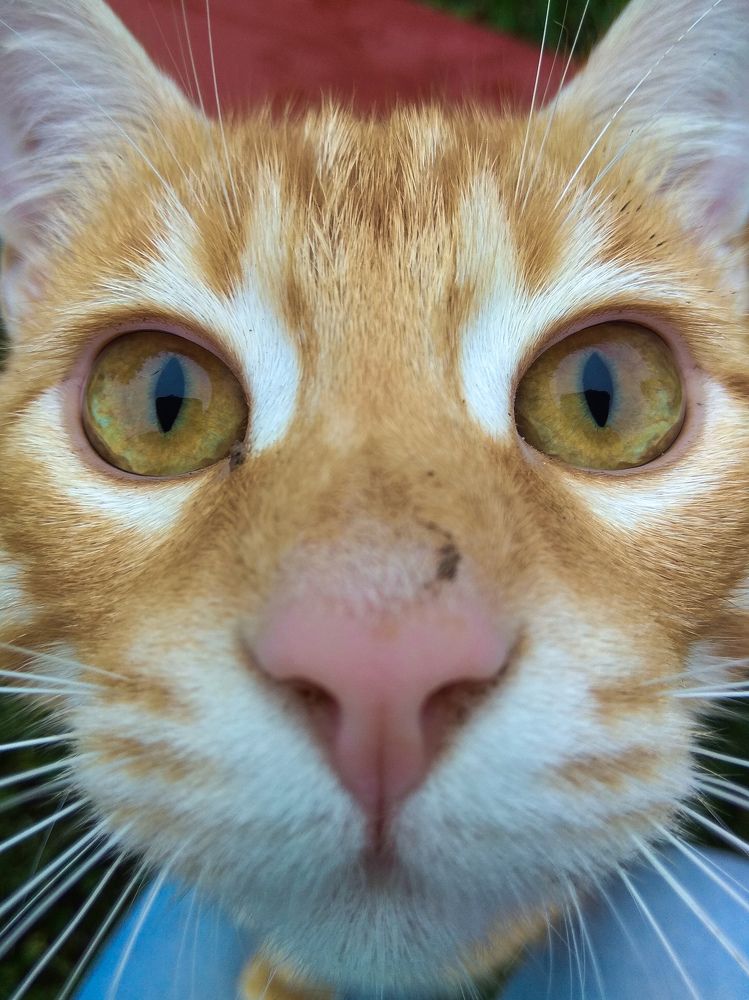 Фотография автора Ксения Вабищевич