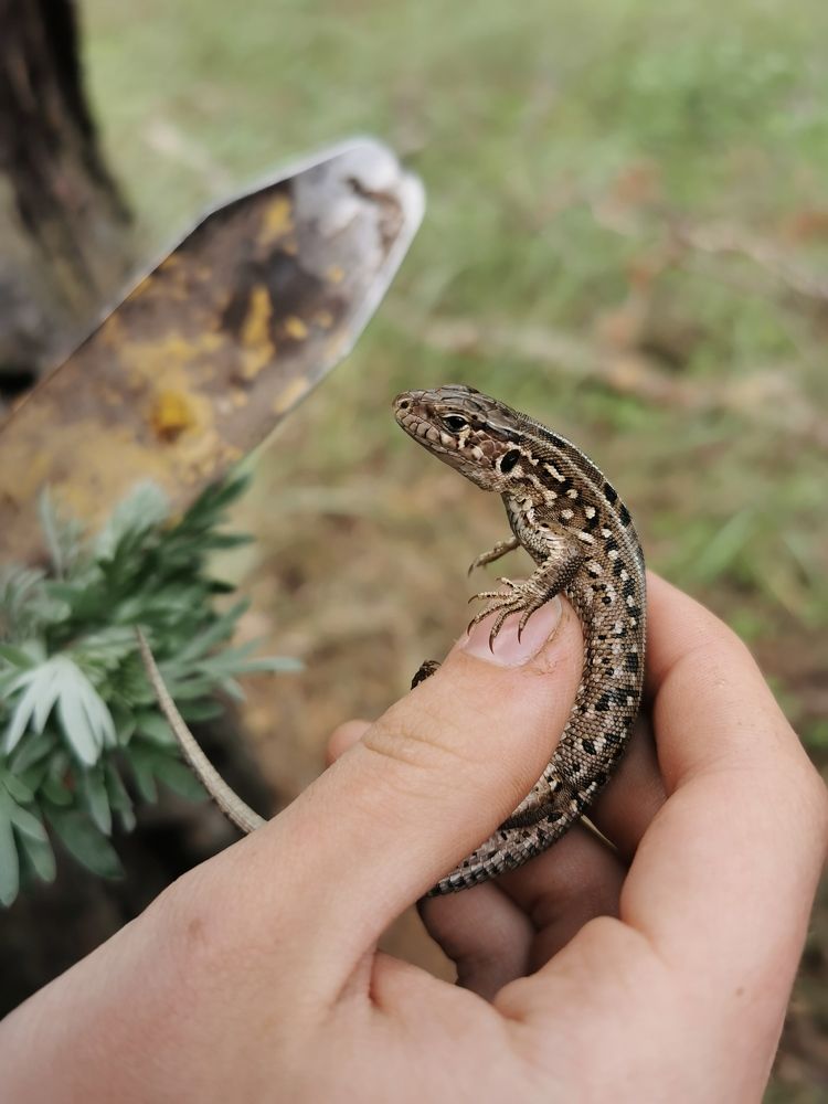 Photograph by Aleksandr Kolonsky