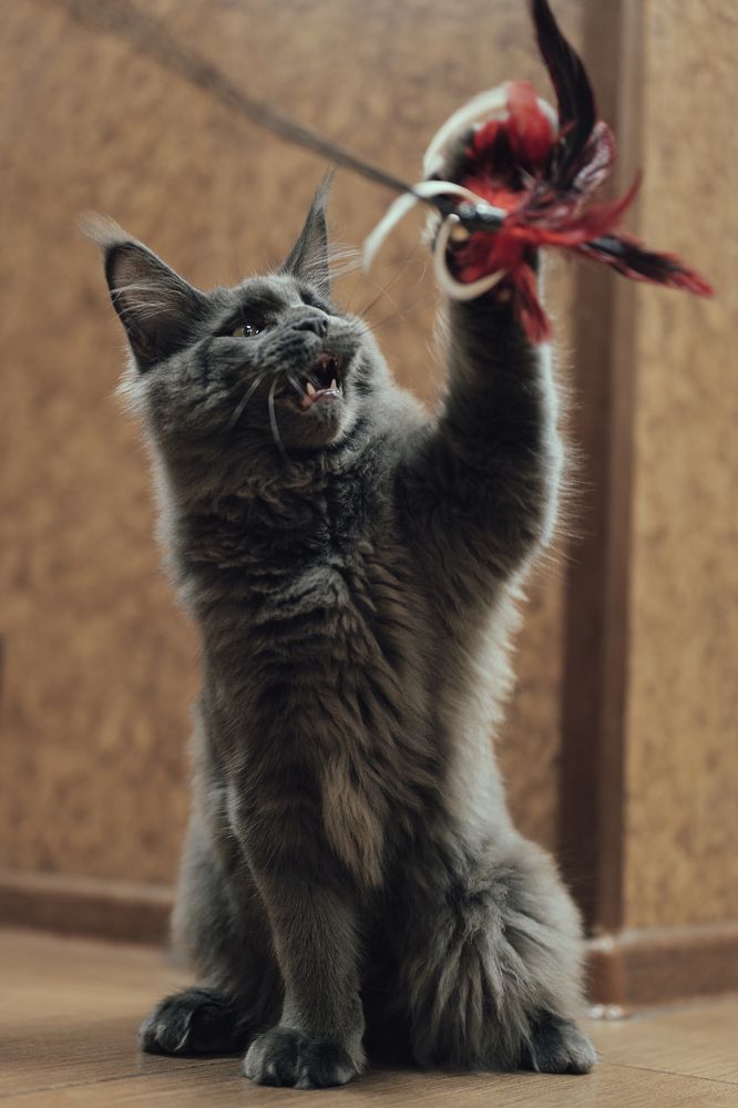 Photograph by Остапенко Алина