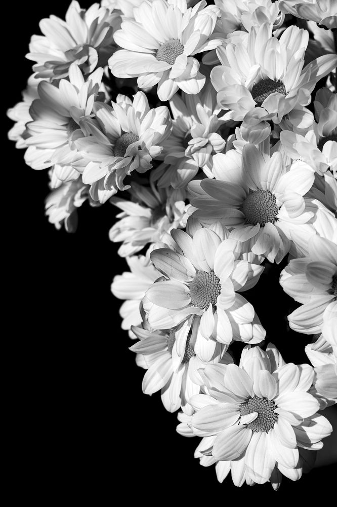 Photograph by Остапенко Алина