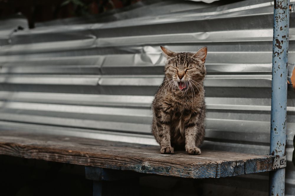 Photograph by Татьяна Зубехина