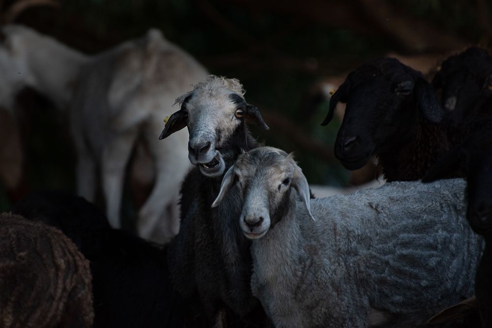 Photograph by Татьяна Зубехина