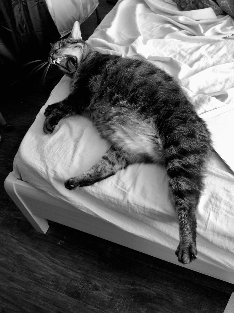 Photograph by Anna Ediger