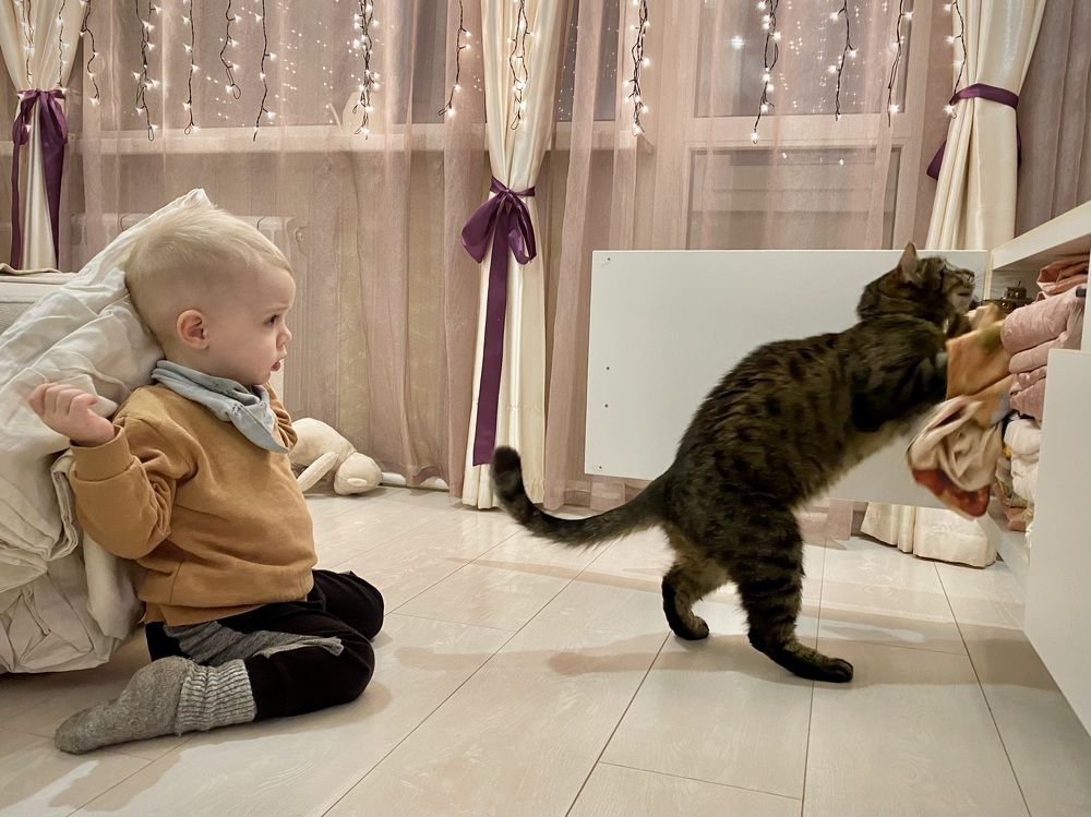 CatCleaner