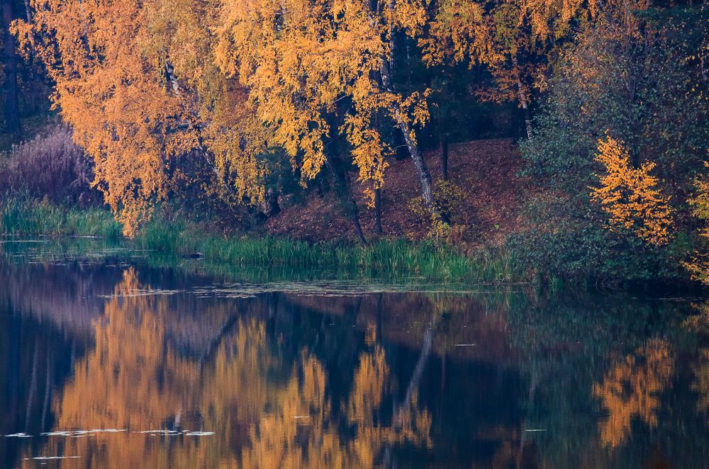 Photograph by Романов Денис